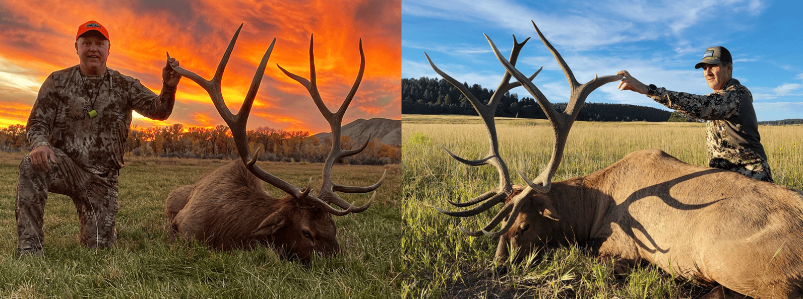 Fully Guided Colorado Hunting Adventures for Elk, Deer & More