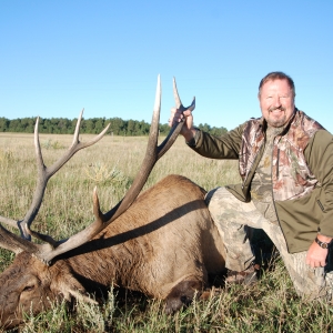 archery elk hunting trips